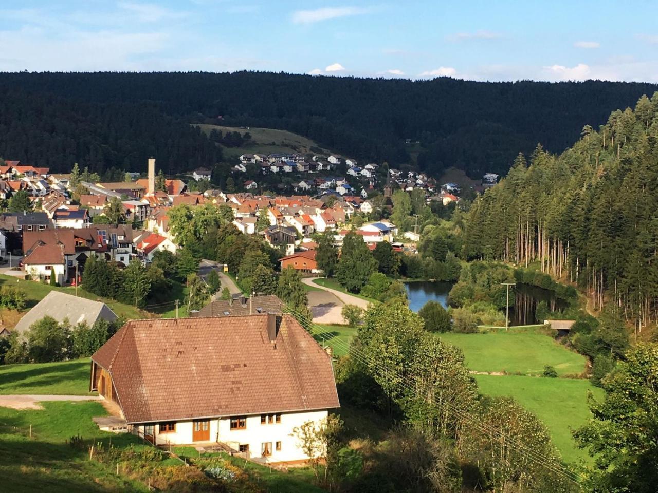 Schwarzwaldgasthaus Linde Schramberg Exterior foto