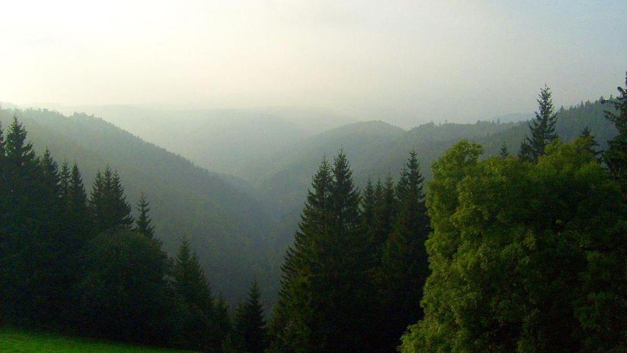 Schwarzwaldgasthaus Linde Hotel Schramberg Exterior foto